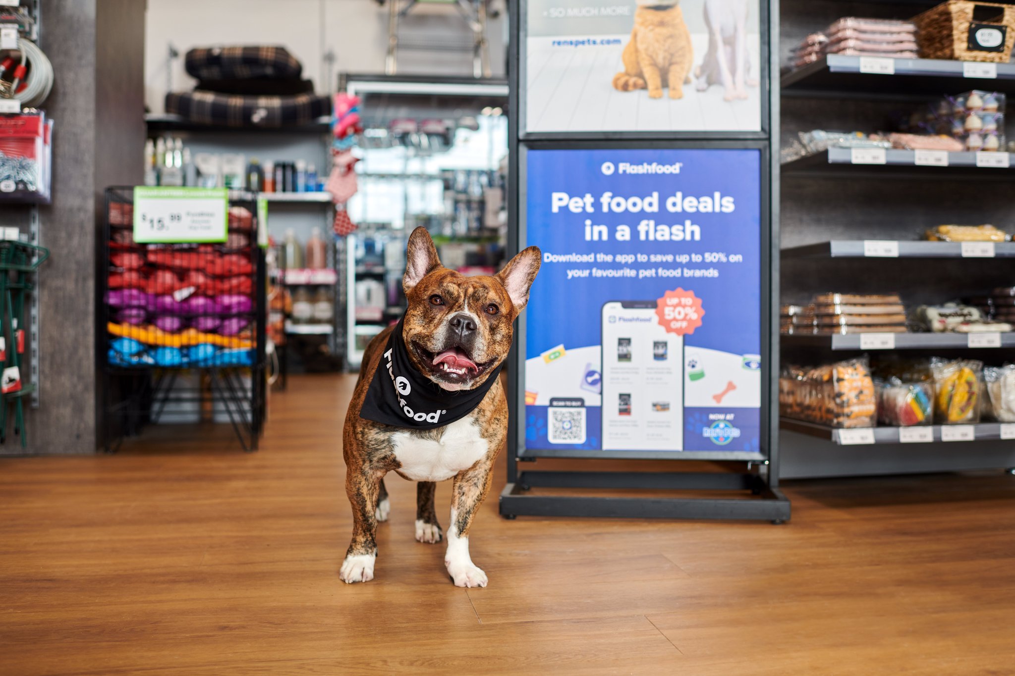 emotion-evoking images featuring a dog at a pet store.