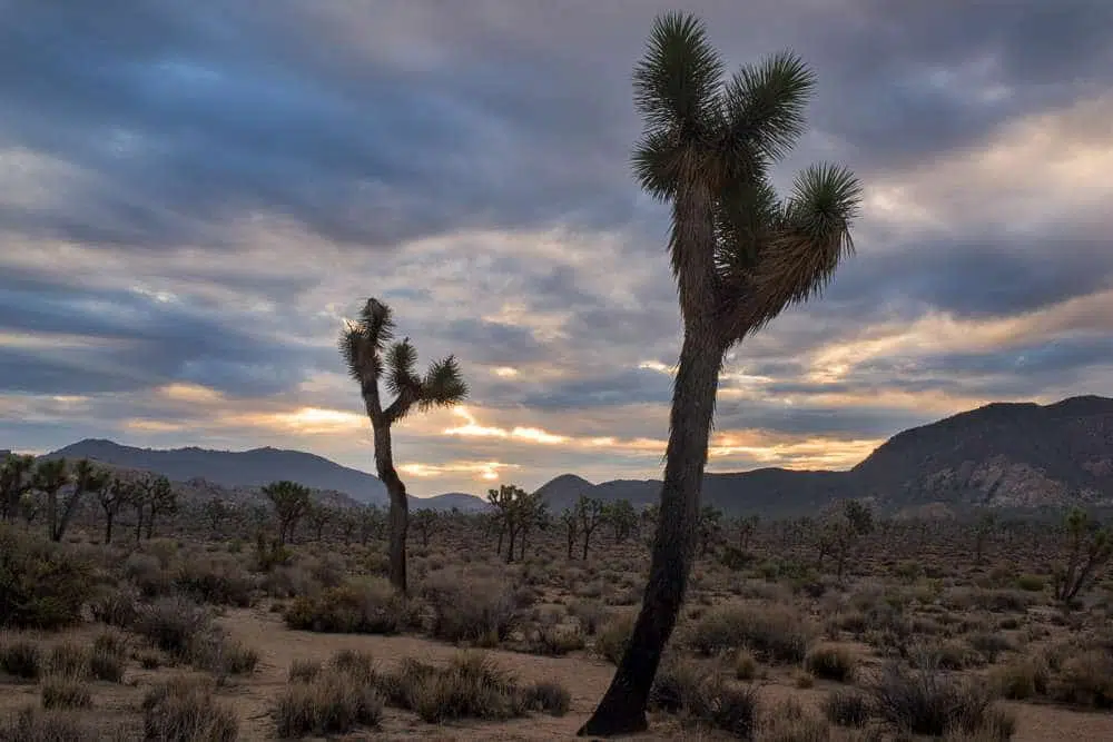 The camera often has less to do with image quality than people think. © robert lowdon