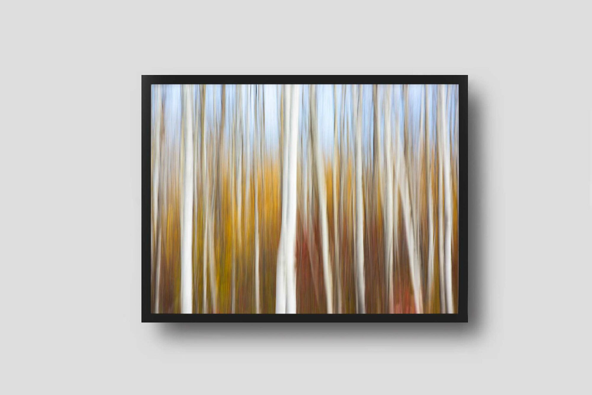 Son-of-a-birch-framed-photo