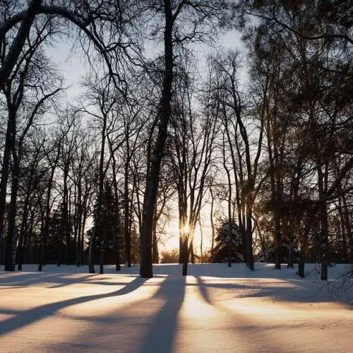 Blog - St Vital Park Kings park winnipeg
