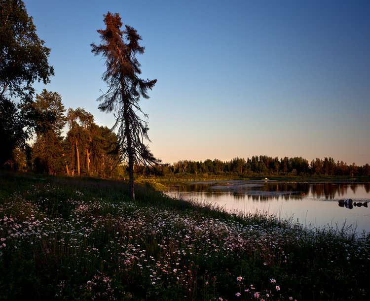Blog - The Whiteshell Provincial Park Manitoba Featuring photography from our past client work. Informative marketing advice for businesses large and small. How to photography articles.